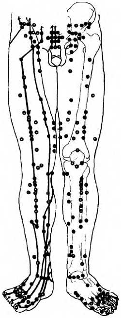 Китайский цигун-массаж. Общий массаж