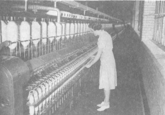 Прощай, нищета! Краткая экономическая история мира Прощай, нищета! Краткая экономическая история мира