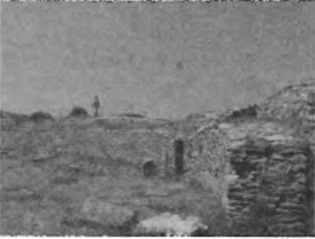 Игры, угодные богам