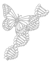 Что такое жизнь? Что такое жизнь?