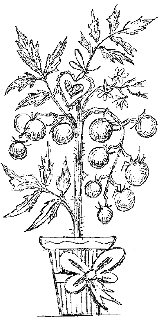 Жизнь замечательных растений Жизнь замечательных растений