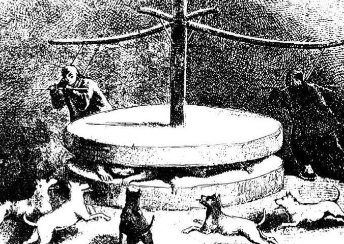 Смертная казнь. История и виды высшей меры наказания от начала времен до наших дней Смертная казнь. История и виды высшей меры наказания от начала времен до наших дней