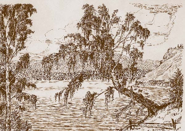 Немцы на Южном Урале