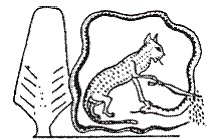 Египетская мифология Египетская мифология