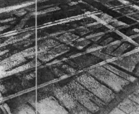 Нить Ариадны Нить Ариадны