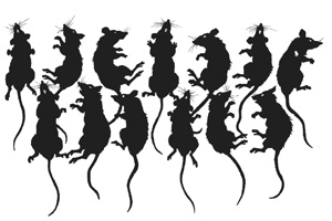 Меня зовут Алиса