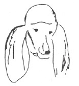 Завтрак в облаках Завтрак в облаках