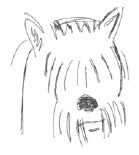 Завтрак в облаках Завтрак в облаках