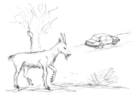 Завтрак в облаках Завтрак в облаках