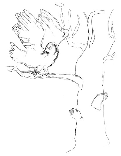 Завтрак в облаках Завтрак в облаках