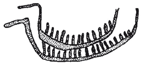 Додинастический Египет. Лодка у истоков цивилизации