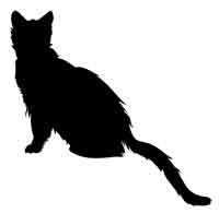 Обещание ведьмы Обещание ведьмы