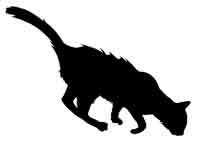 Обещание ведьмы Обещание ведьмы