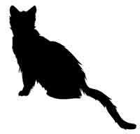 Обещание ведьмы Обещание ведьмы