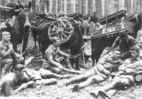 Боевое снаряжение вермахта 1939-1945 гг. Боевое снаряжение вермахта 1939-1945 гг.