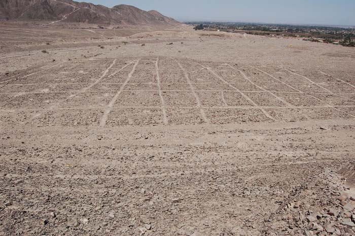 Наска. Гигантские рисунки на полях