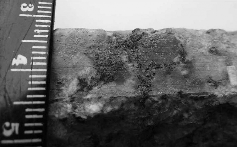 Древние боги. Кто они?