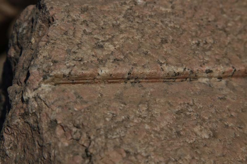 Обитаемый остров Земля