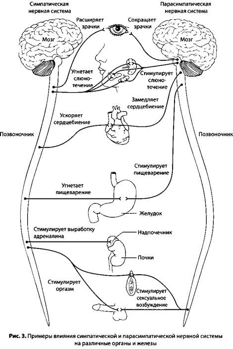 Психология стресса Психология стресса