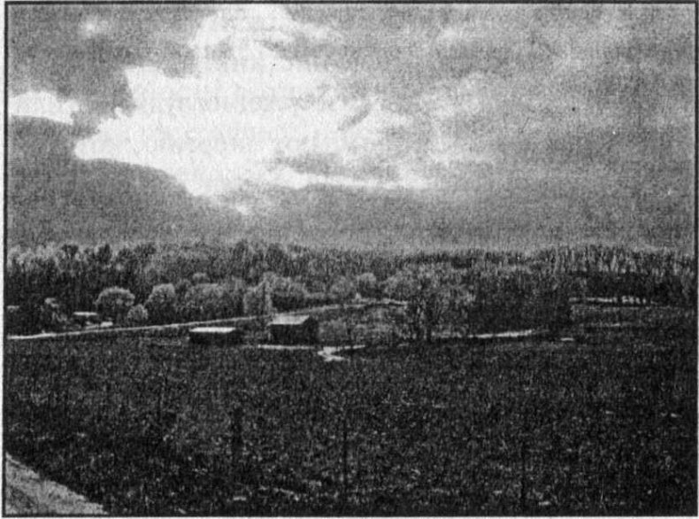 Панкшуй Панкшуй