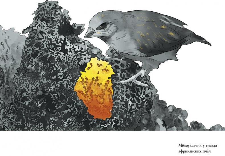 Байки из грота. 50 историй из жизни древних людей Байки из грота. 50 историй из жизни древних людей