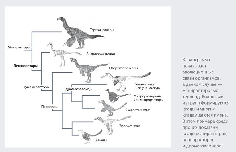 Динозавры. 150 000 000 лет господства на Земле