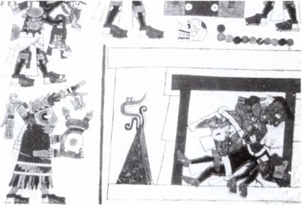 Цивилизации