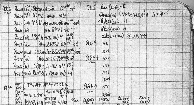 Тайна лабиринта. Как была прочитана забытая письменность