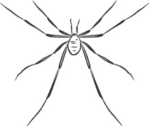 1111 удивительных фактов, которых вы не знали