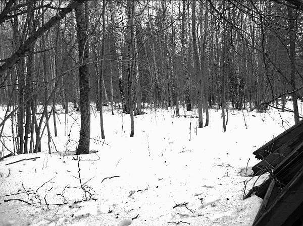 Кровавые ночи 1937 года. Кремль против Лубянки Кровавые ночи 1937 года. Кремль против Лубянки