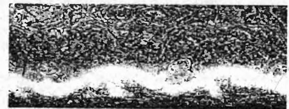 Оружие из дамаска и булата Оружие из дамаска и булата