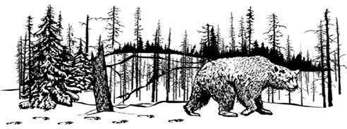 Лесные тайнички Лесные тайнички