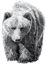 Лесные тайнички Лесные тайнички