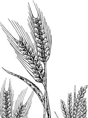 Лесные тайнички Лесные тайнички