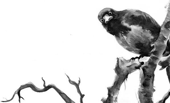 Лесные тайнички Лесные тайнички