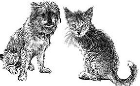 Лесные тайнички Лесные тайнички