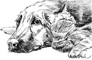 Лесные тайнички Лесные тайнички