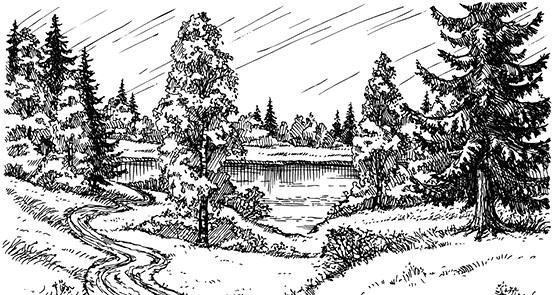 Лесные тайнички Лесные тайнички