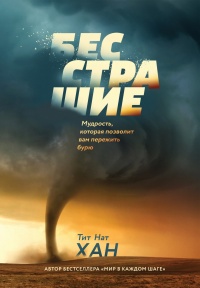 Бесстрашие. Мудрость, которая позволит вам пережить бурю - Тит Нат Хан