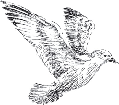 Золото скифов Золото скифов