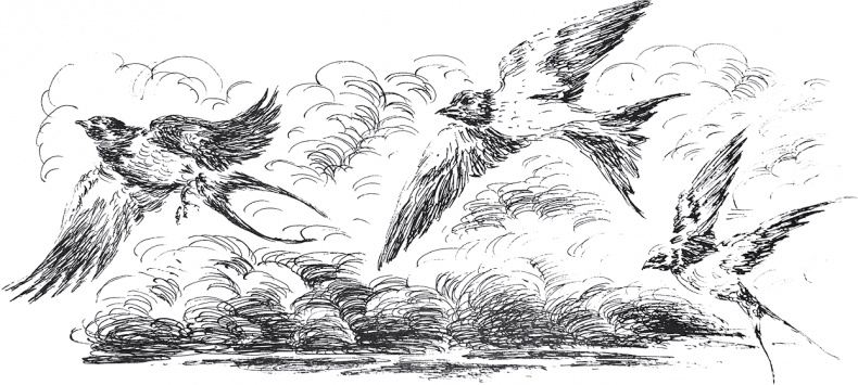 Золото скифов Золото скифов