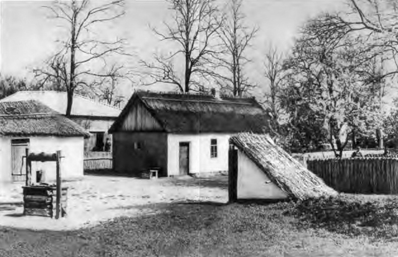 Епистинья Степанова Епистинья Степанова