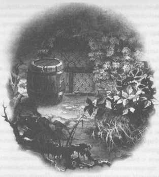 Всё о непослушных принцессах и коварных драконах