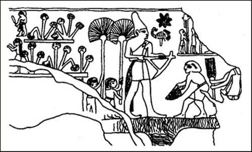 Путь Феникса. Тайны забытой цивилизации