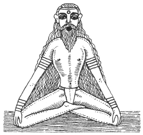 Из варяг в Индию