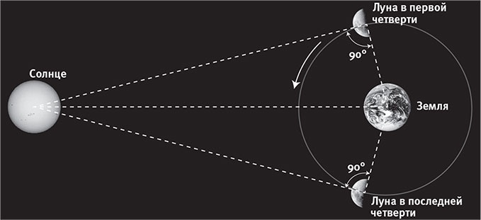 Наша математическая вселенная. В поисках фундаментальной природы реальности