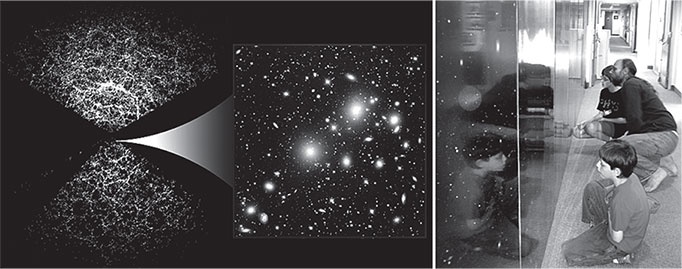 Наша математическая вселенная. В поисках фундаментальной природы реальности