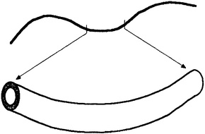 Истина и красота. Всемирная история симметрии