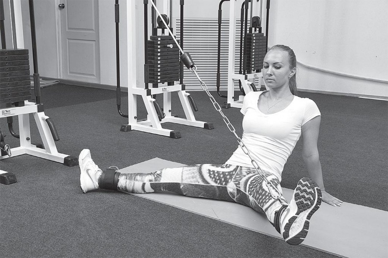 Азбука здоровья. Все о позвоночнике и суставах от А до Я Азбука здоровья. Все о позвоночнике и суставах от А до Я