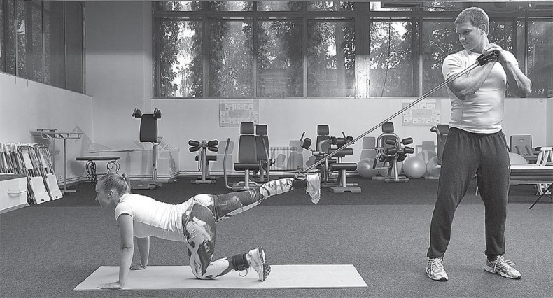 Азбука здоровья. Все о позвоночнике и суставах от А до Я Азбука здоровья. Все о позвоночнике и суставах от А до Я